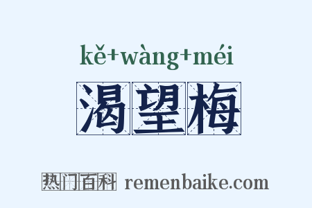 渴望梅是什么意思的图片